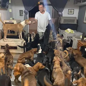 В Мексике мужчина укрыл у себя дома 300 бездомных животных, чтобы спасти их от урагана