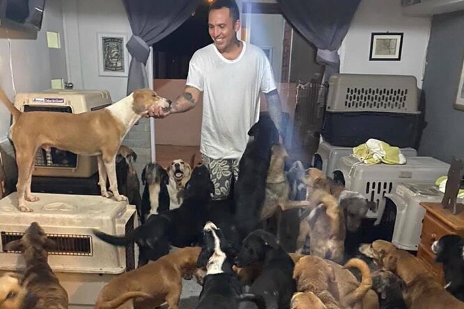 В Мексике мужчина укрыл у себя дома 300 бездомных животных, чтобы спасти их от урагана