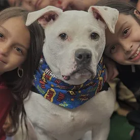 В американской школе ученики устроили вечеринку в честь дня рождения глухой собаки-терапевта по кличке Коул