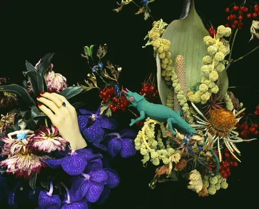Araki Nobuyoshi, Monstrous Paradise series Araki Nobuyoshi, Monstrous Paradise series