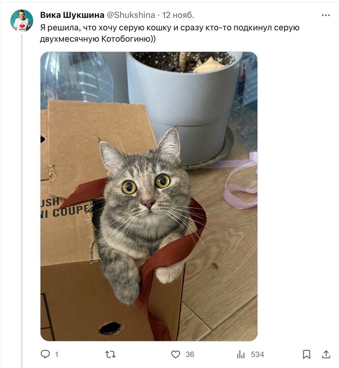 Соцсети Соцсети