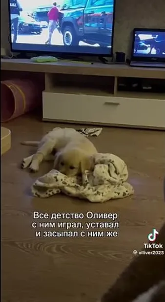 Смотреть Смотреть