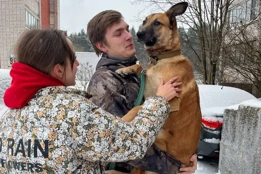 В Твери нашлась собака, потерявшаяся 2 года назад в другом городе
