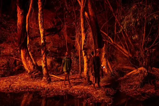 2022 Photo Contest, World Press Photo Story of the YearSaving Forests with Fire