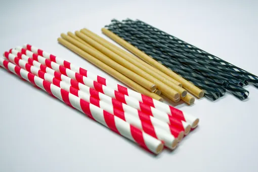 Власти Флориды планируют запретить бумажные трубочки из-за рисков для здоровья Власти Флориды планируют запретить бумажные трубочки из-за рисков для здоровья