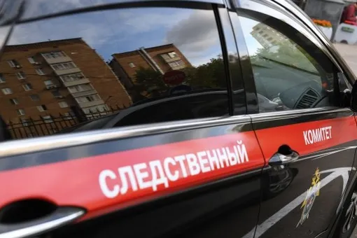 Директора школы в Москве заподозрили в покушении на убийство жены депутата из ревности. Для нападения она наняла двух бывших учеников