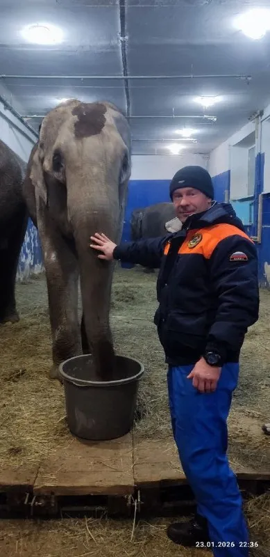 Соцсети Соцсети