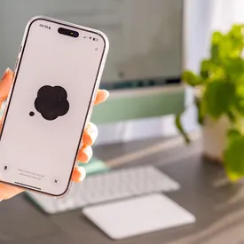 Apple исправит баг голосового ввода, из-за которого слово «расист» распознавалось как «Трамп»