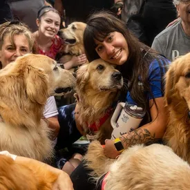 В аргентинском парке собралось 2397 золотистых ретриверов. Это мировой рекорд В аргентинском парке собралось 2397 золотистых ретриверов. Это мировой рекорд