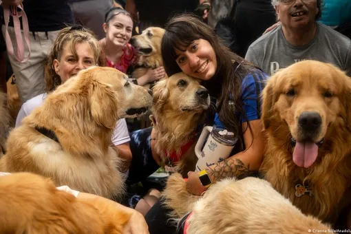 В аргентинском парке собралось 2397 золотистых ретриверов. Это мировой рекорд
