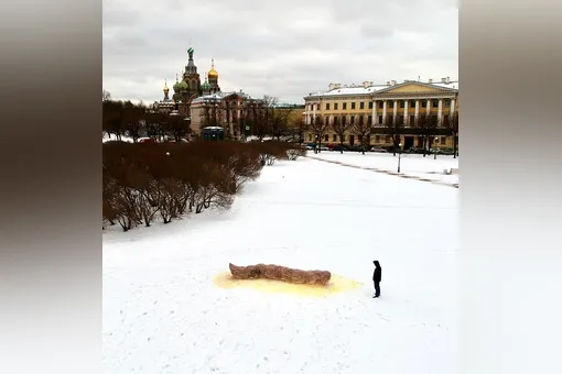 В Петербурге завели уголовное дело на художника, создавшего на Марсовом поле арт-объект в виде фекалий