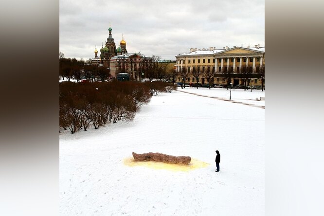 В Петербурге завели уголовное дело на художника, создавшего на Марсовом поле арт-объект в виде фекалий