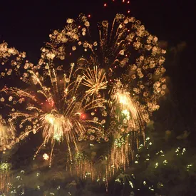 На праздновании Нового года в Рио-де-Жанейро собралось 2,5 млн человек. Это мировой рекорд