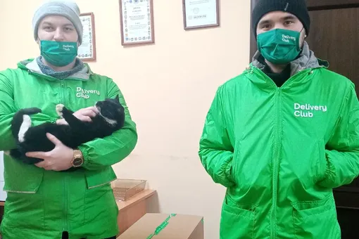 Delivery Club обеспечил годовым запасом корма кота, которого спасли в Ульяновске при сортировке мусора