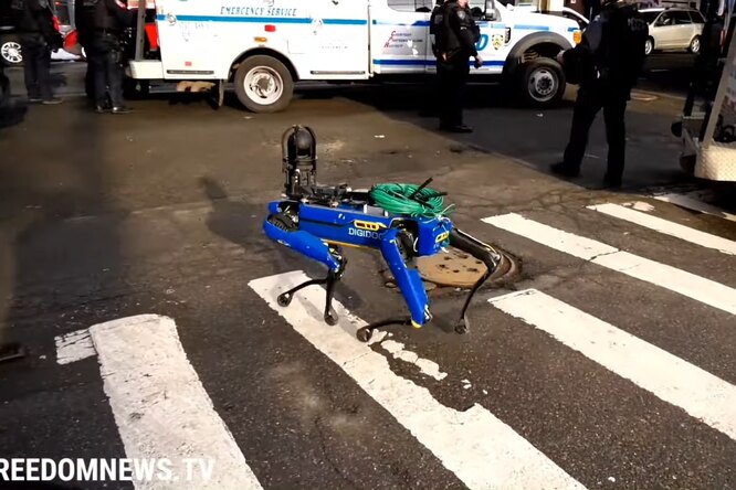 Полицейские Нью-Йорка прибыли на вызов о вооруженном проникновении в квартиру с роботом-собакой от Boston Dynamics