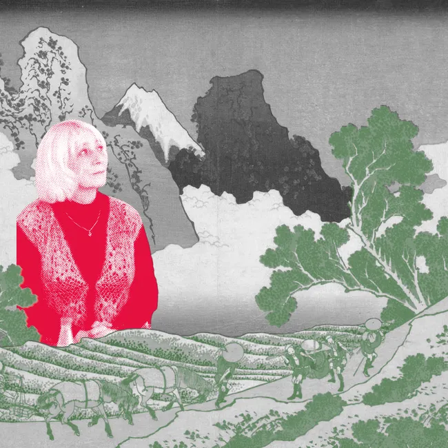 История одной мистификации: как появился сборник Юми Каэдэ. Большой разговор о псевдопереводе и литературе с Марией Похиалайнен