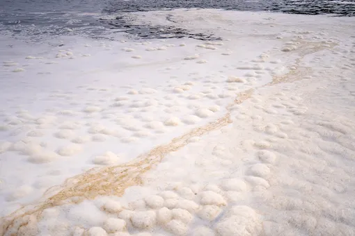 В одной из рек на Камчатке обнаружили изменения цвета и необычные отложения