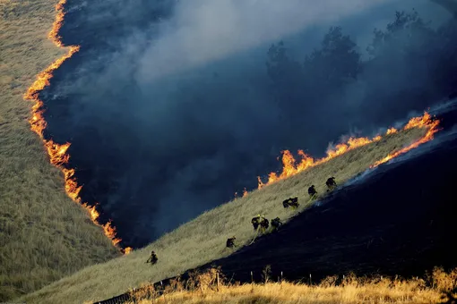 Firefighters battle the Marsh Fire near Brentwood, Calif., on Saturday, Aug. 3, 2019.