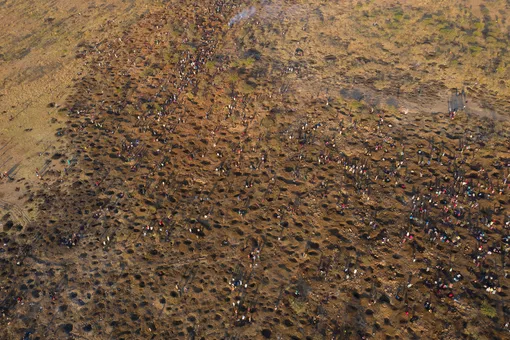 — An aerial view shows people digging as they search for what they believe to be diamonds after the discovery of unidentified stones at KwaHlathi village near Ladysmith in KwaZulu Natal on June 15, 2021. — Hundreds of people have flocked to the outskirts of KwaHlathi village, near Ladysmith, after a cattle herder last week unearthed a handful of unidentified crystal-like pebbles. News of the finding spread fast, triggering a rush to the site. Some have already started selling their finds to those willing to try to market them. Experts do not rule out the possibility that they are genuine diamonds, although they consider this highly unlikely. The Department of Energy and Mines said it would send a team of experts in the next few days. (Photo by