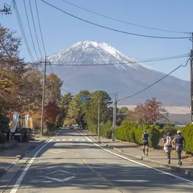 В Японии закроют забором вид на гору Фудзи — из-за слишком большого наплыва туристов