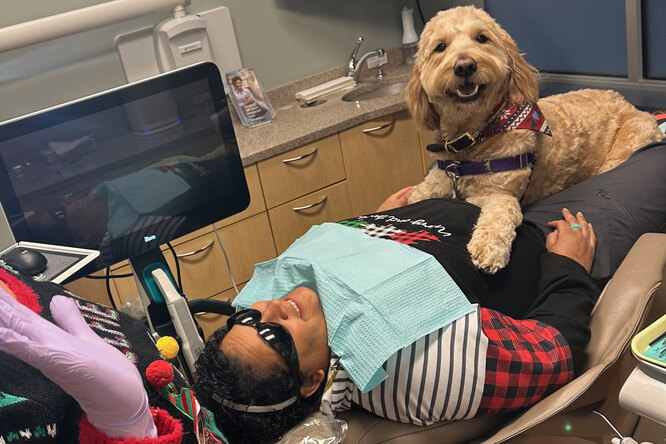 Очаровательный пес Олли работает в стоматологической клинике и помогает расслабиться пациентам, которые боятся лечить зубы