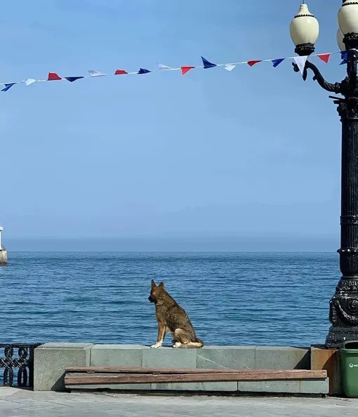 Мухтар Мухтар