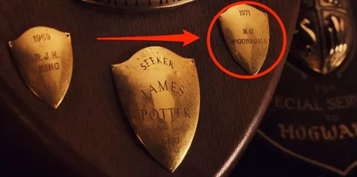 Кадр из фильма «Гарри Поттер»
