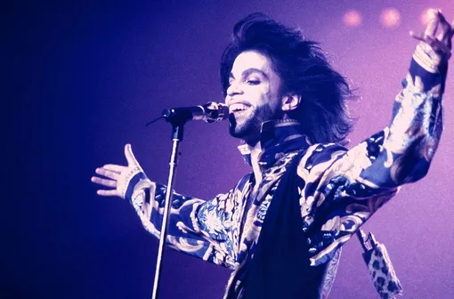 Принс Принс