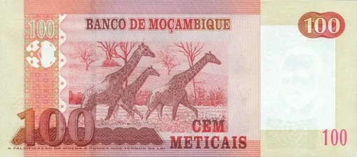 Мозамбикский метикал