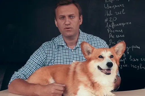 Алексей Навальный о полетах собак Шувалова