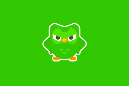 РКН потребовал от Duolingo проверить контент на ЛГБТ-пропаганду