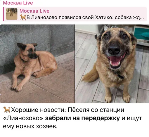 Соцсети Соцсети