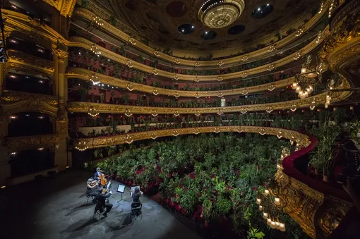 Оперный театр «Лисео» в Барселоне открылся концертом для растений. И это неслучайно22 июня в открывшемся после снятия ограничений оперном театре «Лисео» в Барселоне прошел первый концерт. Вместо зрителей «Хризантему» Пуччини в исполнении струнного квартета UceLi «слушали» 2292 растения в горшках, которые потом доставят 2292 медицинским работникам из госпиталя Барселоны. Это представление — идея испанского художника Эудженио Ампудии, который таким образом решил напомнить, какое место природа занимает в нашей жизни.ИСТОЧНИК: JORDI VIDAL/GETTY IMAGES