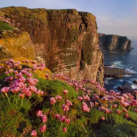 В Шотландии появилась вакансия смотрителя на необитаемый остров с годовой зарплатой £26 тысяч