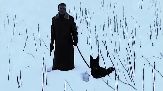 Смотреть Смотреть