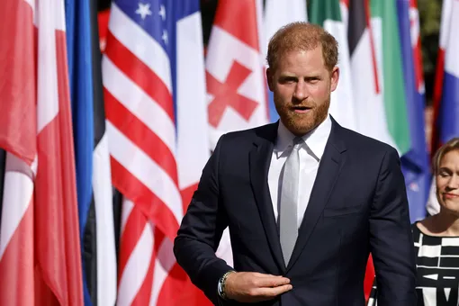 The Times: принц Гарри выразил готовность временно исполнять королевские обязанности
