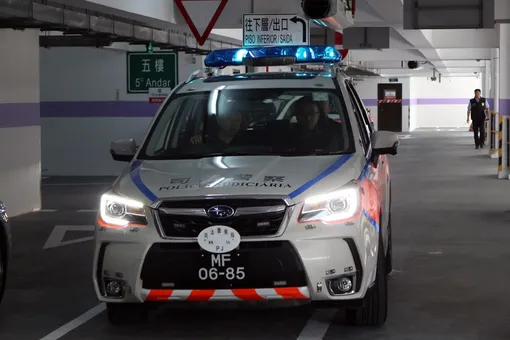 В Китае полицейских обманули с помощью трюка из «Тома и Джерри». Злоумышленники нацепили на машины полиции GPS-трекеры
