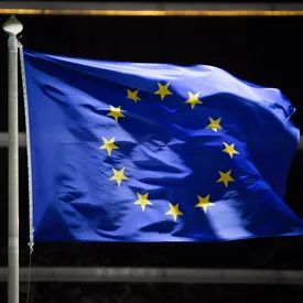 В Европарламенте не признали итоги президентских выборов в Беларуси и назвали Лукашенко персоной нон грата В Европарламенте не признали итоги президентских выборов в Беларуси и назвали Лукашенко персоной нон грата