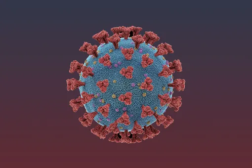 Новый максимум за всю пандемию: в России за сутки выявили 113 122 случаев коронавируса