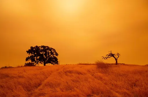 Небо в Калифорнии окрасилось в оранжевый цвет из-за лесных пожаров.