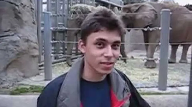 Смотреть