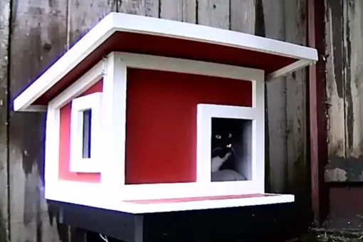 Столяр построил для бродячего кота домик. В нем есть кровать с подогревом и скрытая камера (чтобы убедиться, что котик спит спокойно)