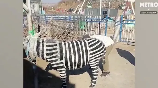 Смотреть