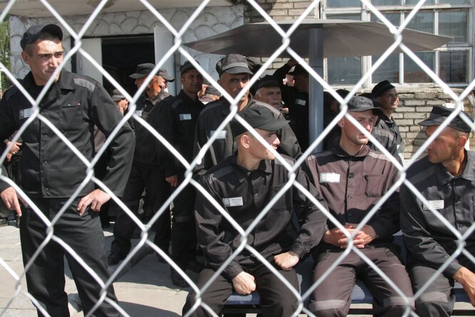 СК возбудил 7 дел о пытках заключенных в Саратовской области. Начальство тюремной больницы уволено