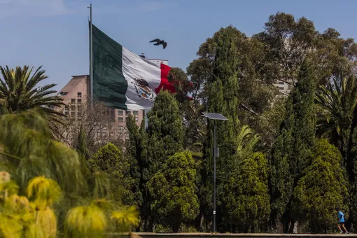 Палата депутатов Мексики одобрила законопроект о полной легализации марихуаны