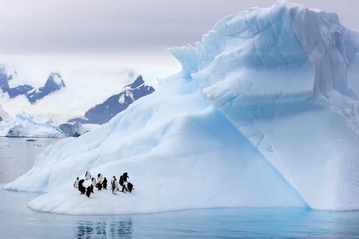 Ученые обнаружили новую причину таяния Антарктиды