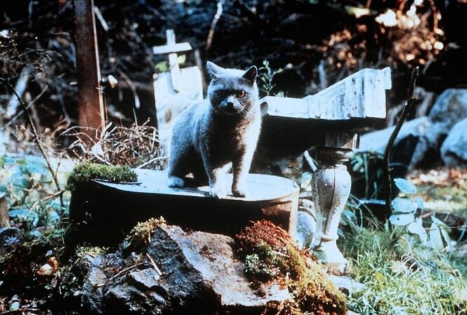 «Кладбище домашних животных» / Pet Sematary (1989)