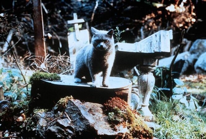 «Кладбище домашних животных» / Pet Sematary (1989) «Кладбище домашних животных» / Pet Sematary (1989)