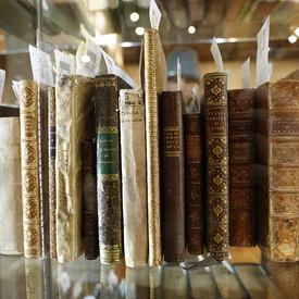 Пользователи ChatGPT массово обвиняют библиотекарей в том, что они скрывают существование некоторых книг