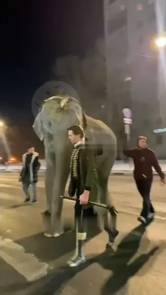 Смотреть Смотреть